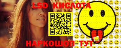 твердый Новозыбков