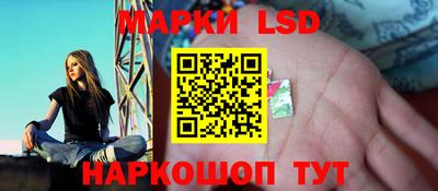 твердый Новозыбков