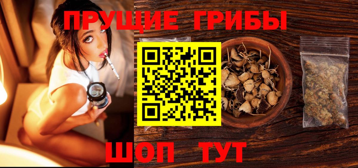 Псилоцибиновые грибы прущие грибы  Грозный 