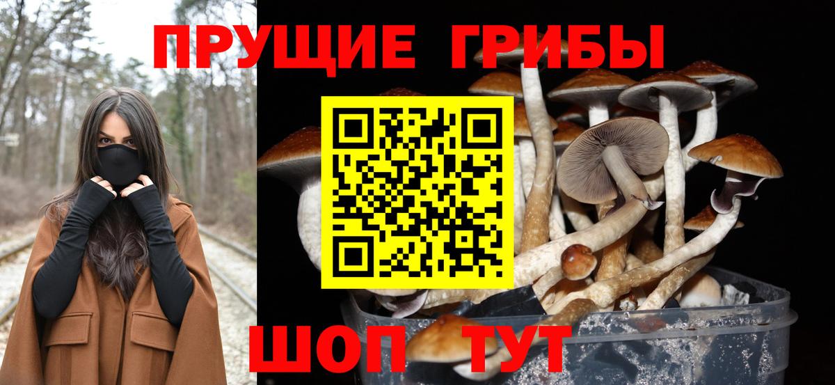 Псилоцибиновые грибы прущие грибы  Вход с VPN  Грозный  Галлюциногенные грибы ЛСД 