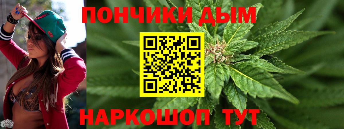 Бошки Шишки гибрид Грозный